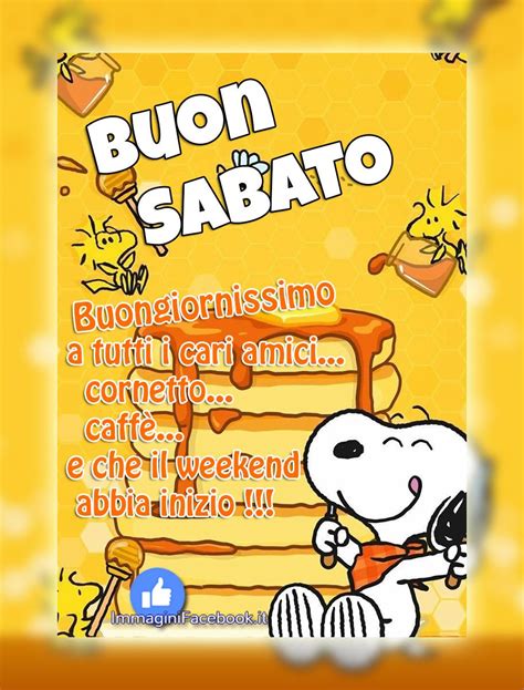 buon giorno buon sabato|buon sabato divertente.